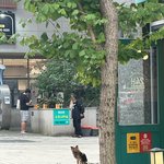 미사역 강아지 함부로 대하지 마세요