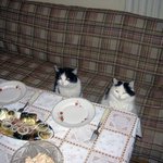 <b>성수</b> 편집샵 알바생 질문받음