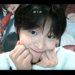 아 <b>리쿠</b> 개귀여워