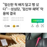 성심당 임산부 배려 악용하는 '<b>일부</b>'여자들..