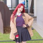 ‘가을 느낌 가득한 출근 패션’ (<b>동물</b>농장 출근길) [HD포토]