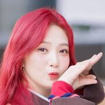 조이, ‘귀욤뽀짝 둥아리 포즈’ (<b>동물</b>농장 출근길) [HD포토]