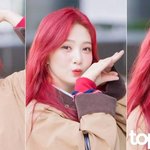 SNS에서 화제인 세기의 대결’ (<b>동물</b>농장 출근길) [HD포토]