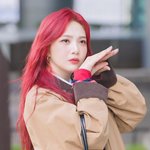 요청 했더니 고뇌에 빠진 둥아리’ (<b>동물</b>농장 출근길) [HD포토]