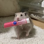 [댓글부탁해] 나만큼 남 시선 신경쓰는애 없을듯