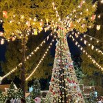 서울랜드 크리스마스 <b>마켓</b> 다녀왔어요