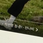 퇴사했으니까 명언<b>or</b>감성짤 푼다