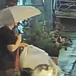 [도와주세요] 가사도우미 절도