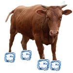 [댓글부탁해] 남친보다 <b>듬직</b>한 애들 있냐