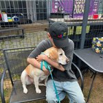 스타의 펫 크러쉬, 반려견 '<b>두유</b>로즈'와 12월 콘서트 예고.....