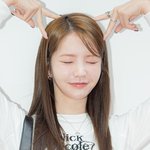 [포토] 수스, 꽁꽁 얼어붙은 <b>한강</b> <b>위</b>로 고양이가..