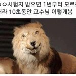 너네 어디서 살고 싶음?