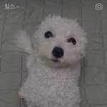 외모 정병 <b>남</b>들 <b>눈</b>엔
