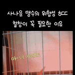 나 좀 도와조..ㅜㅜ