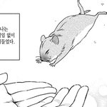 연논 수리 문제<b>오류</b> ㄷㄷ