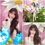 장원영 어제 모습