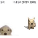 [드루와] 나 전남친이랑 재결합했는데