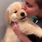 왜 매번 엔하이픈 제이크한테만 이런일이..