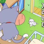 혹시 여자중에 <b>패</b>잘<b>알</b> 있음? 질문있는데