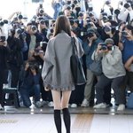 [드루와] 연예인들 개 존경스러워졌다