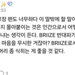 한국 브리즈들, 케이팝 팬들 진심 미개하다