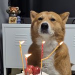 미야오 파는데 ㅈㄴ 우울함