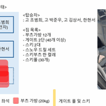 [도와주세요] 뉴질랜드에서 알파인 스키 국가대표 상비군 선수들 사망_차량...
