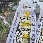 [엔터톡] 나만 브리즈들 미친거같냐