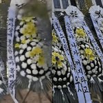 [댓글부탁해] 승한 제사상 이건 또뭐냐