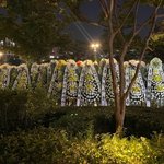 팬으로서 더 이상 라이즈를 응원할 수 있을지 모르겠습니다