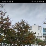 전세계적으로 <b>미움</b>받는 한녀들