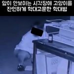 [이것좀봐줘] 천안 <b>서북구</b> 길고양이 학대사건