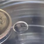 유일하게 눈으로 관찰할수 있는 인간의 <b>세포</b>