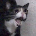 아니 전화하자면서 쳐자는건 <b>모임</b>!!!!!