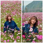 [드루와] 조윤희, 연하남과 핑크 코스모스 로맨스?...사진 공개에...