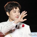 혐의' 태일과 전속계약 해지…<b>NCT</b> 이어 초고속 손절 "신뢰 無"...