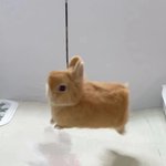 [드루와] 나 어릴때 비염심했는데 자연적으로 좋아짐