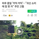 [나는] 두겸이를 보려면 그냥 <b>TV</b>를 틀고 북한을 보면 된다.