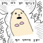 혹시 이런 소리 무서워하는 사람 있음?