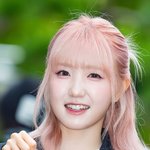 [사진]세이마이네임 히토미,'깜찍한 고양이