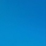 눈치도 있고 <b>대담</b>하기도 하지.