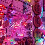 유명한 디제잉 할로윈클럽파티가는데