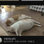 성인인데 집 ㄹㅇ 최대한 늦게 나가고 싶음
