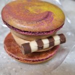 마카롱 먹는 중