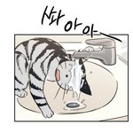 재수할거같다 <b>진심</b>