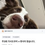 가사도우미 시세 원래 이런가요?