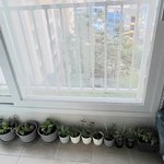 화분 <b>민족</b>대이동