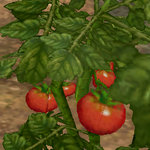 [레이] <b>베리</b>레드톡)