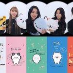 치타 김채원, 병아리 홍은채…르세라핌, 첫 공식 캐릭터 '핌즈클럽'...