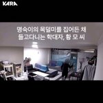 고양이 <b>명숙</b>이 학대자 엄벌탄원 해주세요 [부산시 사하구 사건발생]